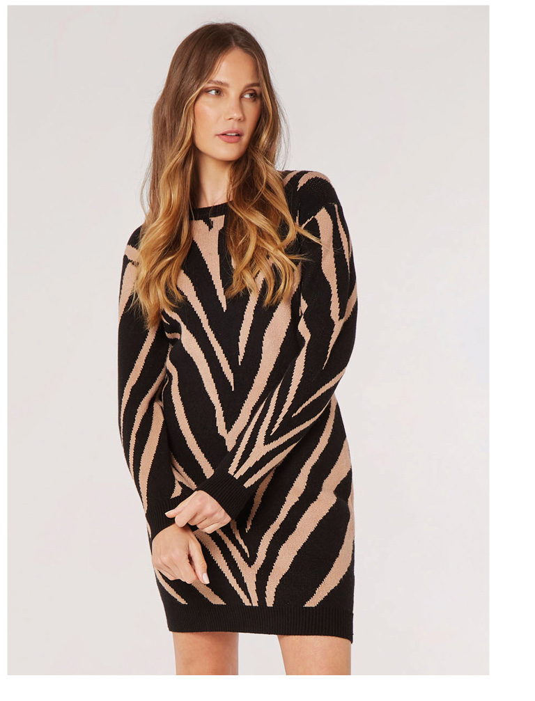 Zebra Jumper Dress