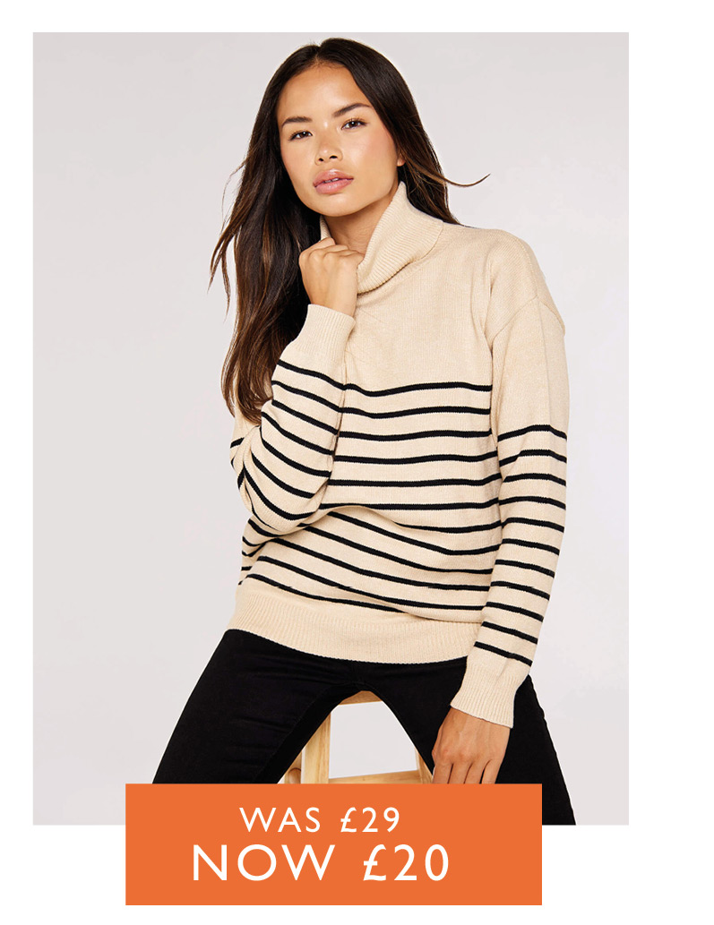 Striped Roll Neck Jumper