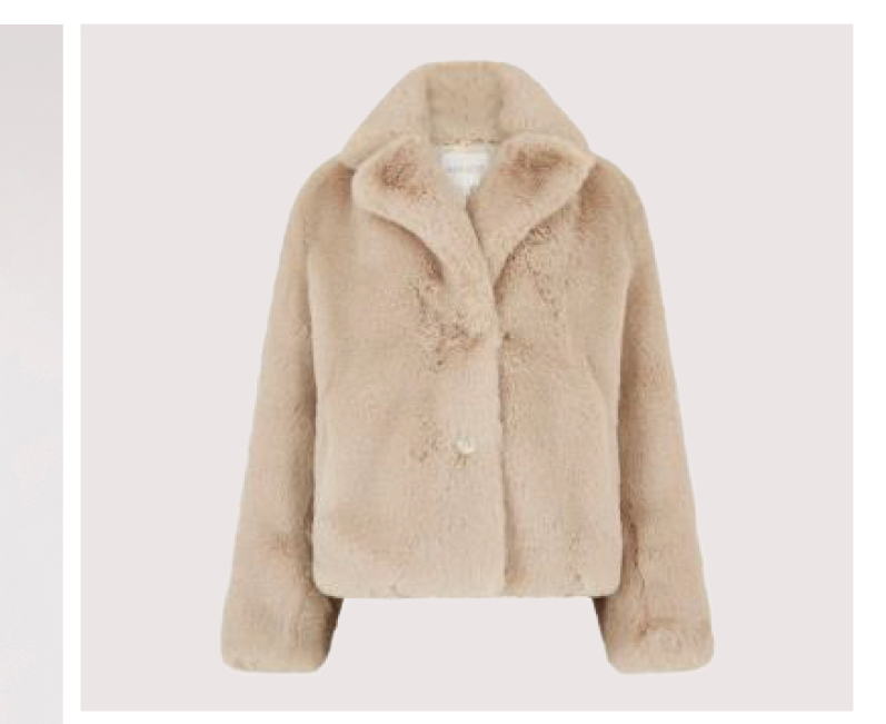 Short Faux Fur Coat