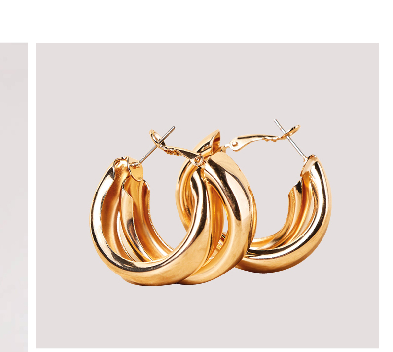 Double Hoop Gold Tone Earrings