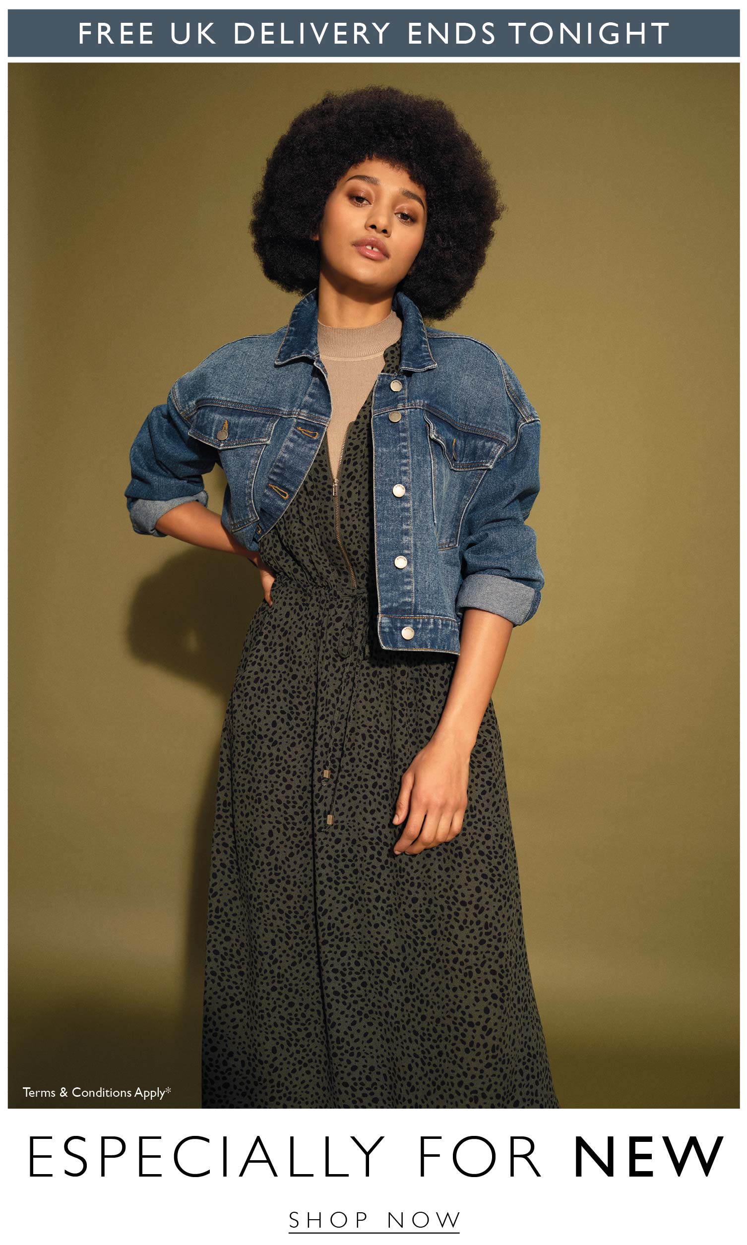 Shop New In